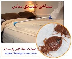 روش‌های خانگی و حرفه‌ای نابودی ساس