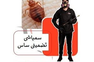 سمپاشی حرفه‌ای ساس