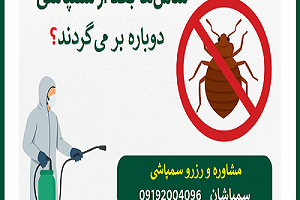 چرا ساس‌ها دوباره برمی‌گردند؟