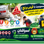خرید قرص برنج