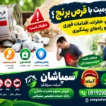 خرید قرص برنج