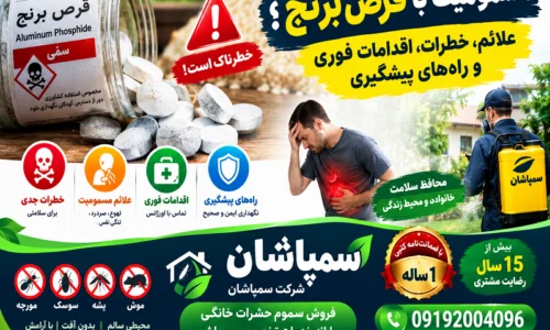 خرید قرص برنج